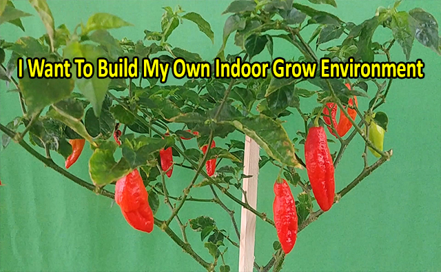 Indoor Growing Environments